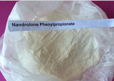 Biały proszek Nandrolon Steroid / Durabolin Nandrolone Fenylopropionian CAS 62-90-8
