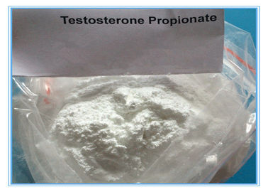 Testosteron Powder CAS 57-85-2 Test sterydów propinianowych