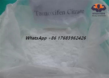 Sterydy odchudzające Tamoxifen Citrate Nolvadex Sex Enhancing Drugs CAS 54965-24-1